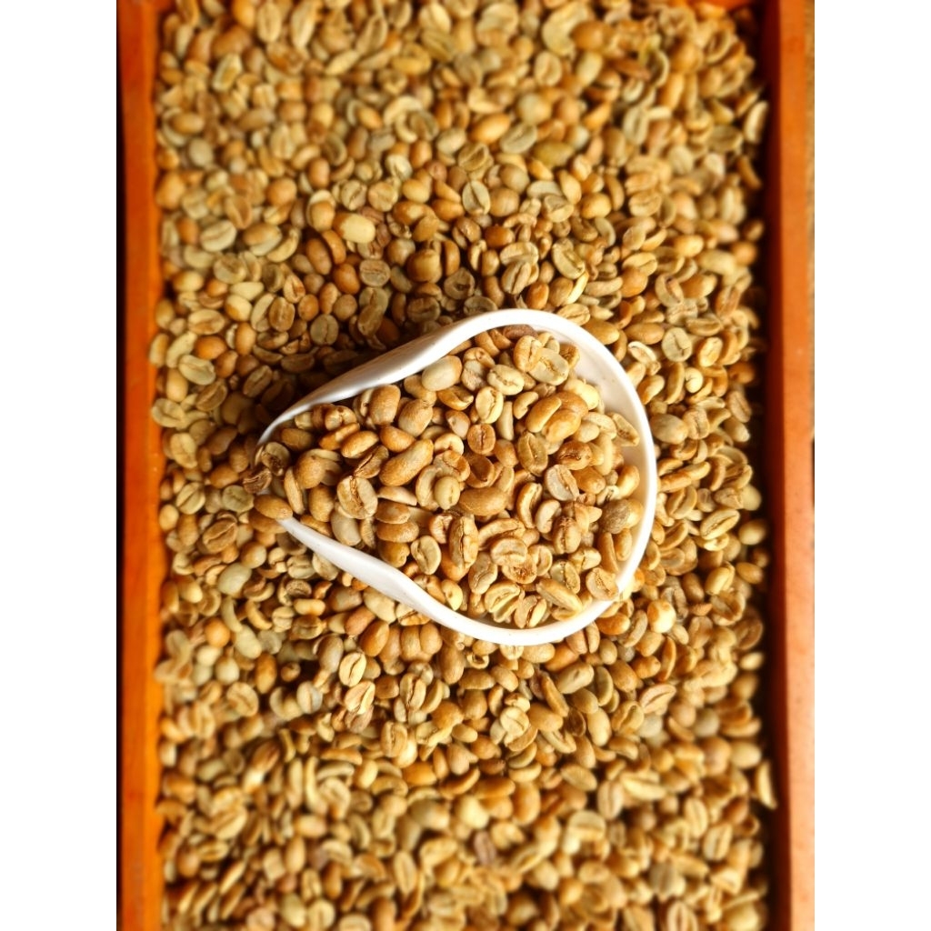 Green Bean Arabica Natural Fermentasi 10Hari Grade 1-1kg Biji Kopi Mentah Kertasarie Pangalengan Jav