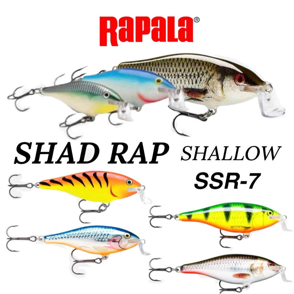 Lure Rapala Shallow Shad Rap SSR07 7cm 7gr Depth 1.2-1.8m - Umpan Casting Minnow