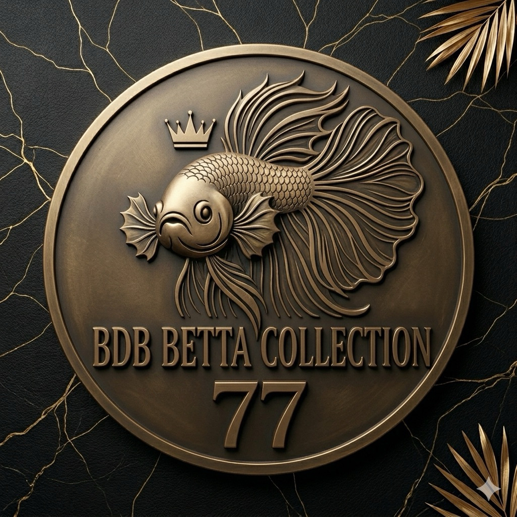 Betta