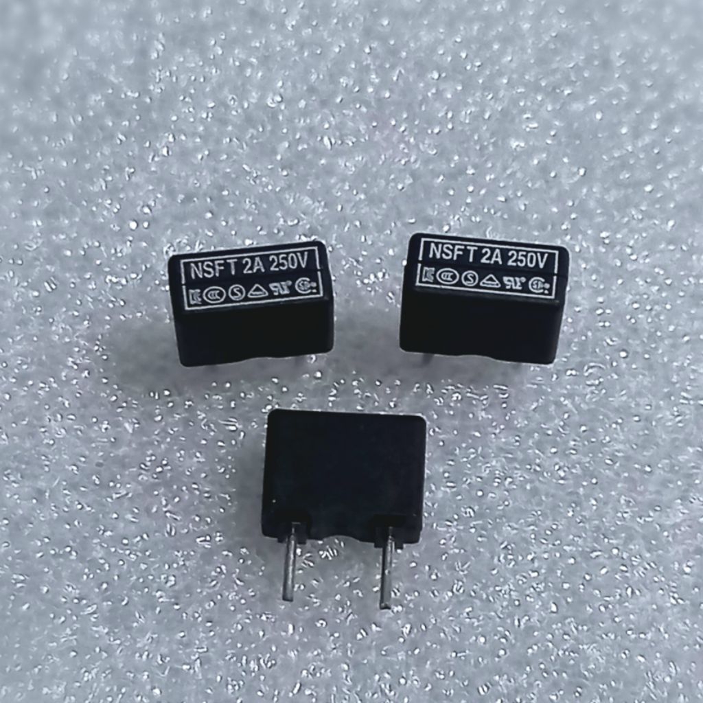 Micro Fuse T 2A 250v NSF Slow Time Lag