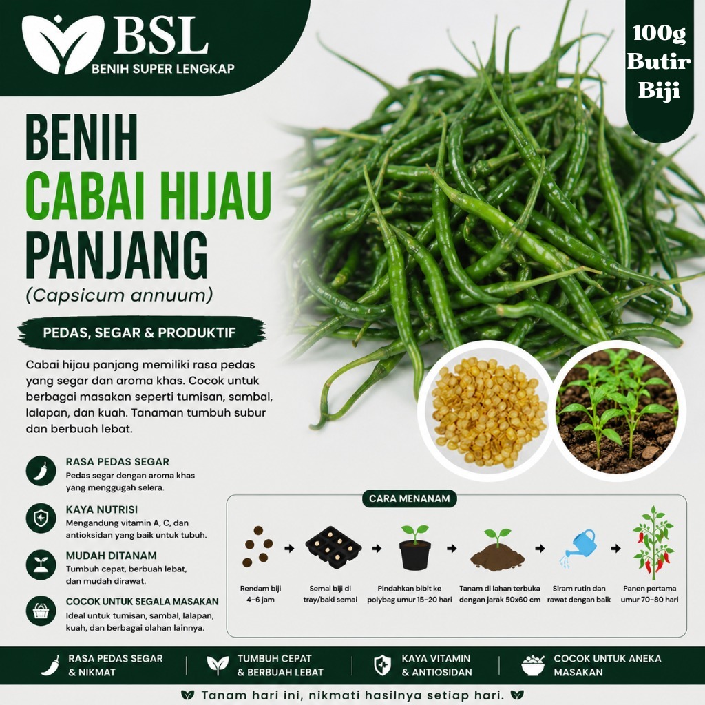 ( 100 Gram ) Benih Biji Cabai Hijau Panjang | Cabe Hijau Lombok | Cabe Hijau | UKI BIBIT