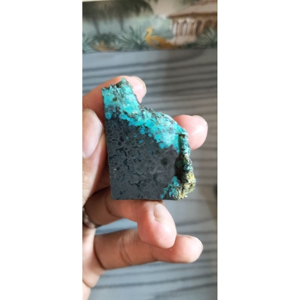 Bacan Doko Kura
