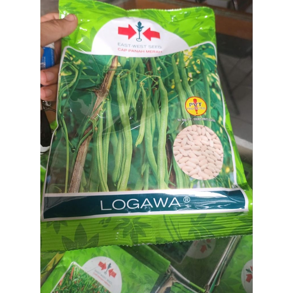 benih unggul buncis logawa isi 500 gram