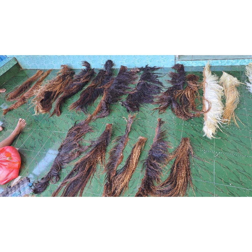 suri / ekor kuda asli 100%