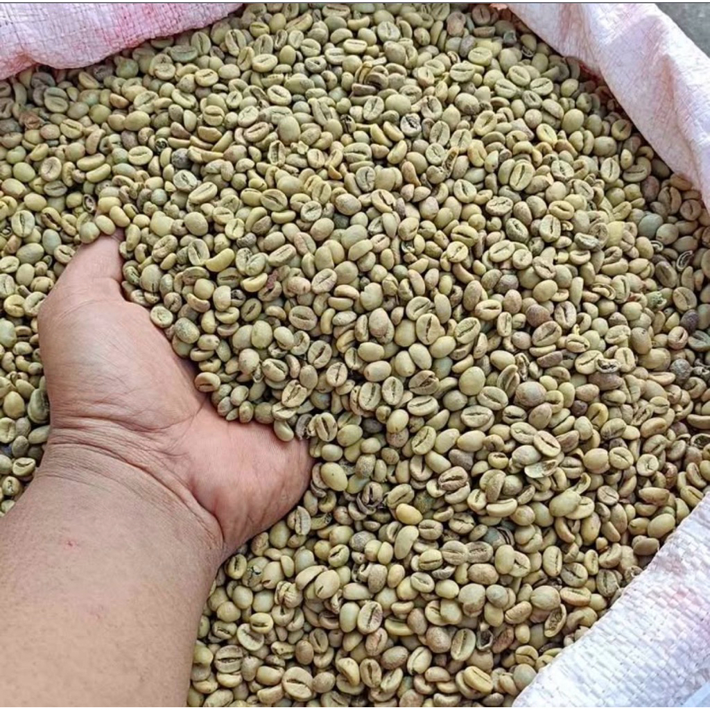 KOPI GREENBEAN ROBUSTA BLEND 100GRAM