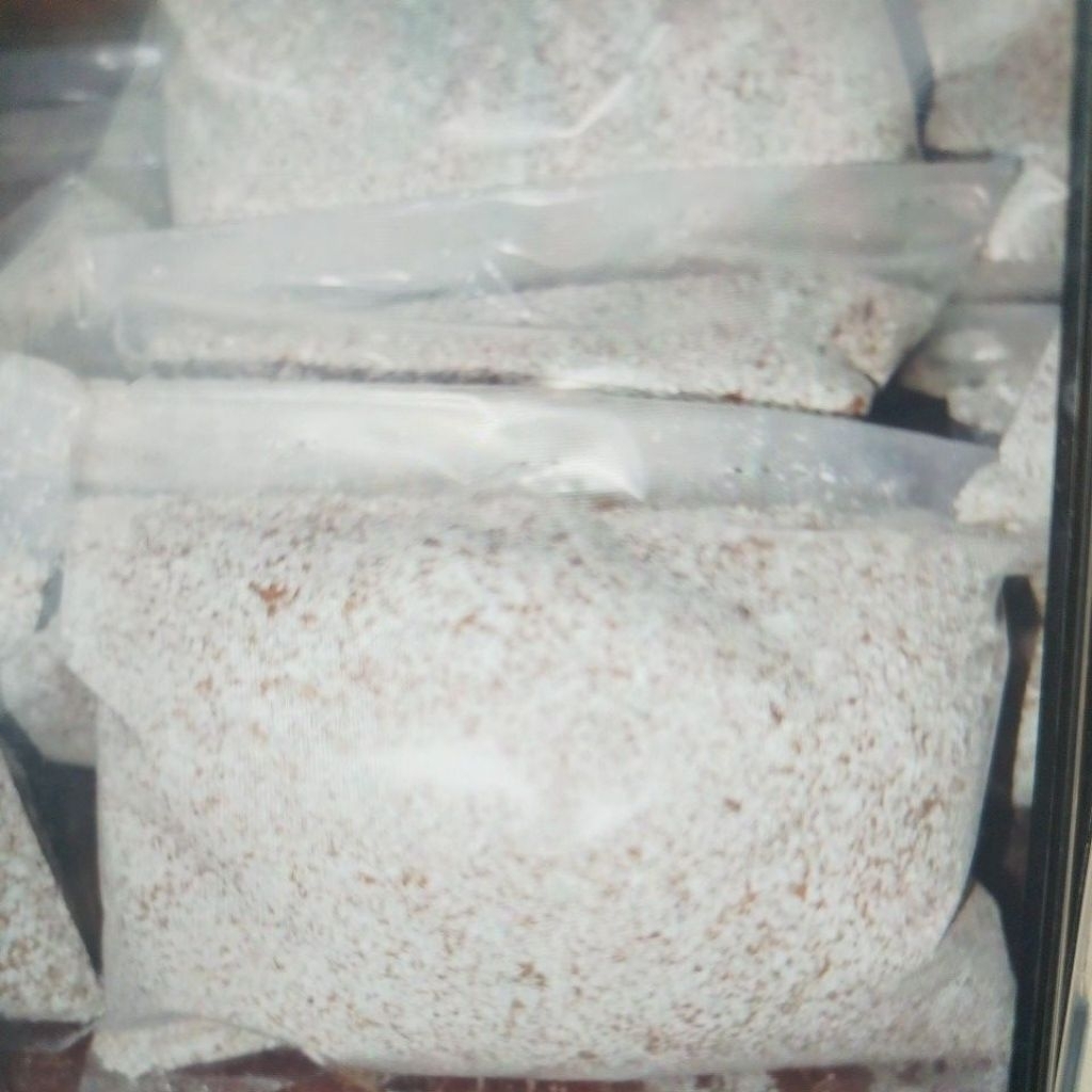 grit/ asinan merpati