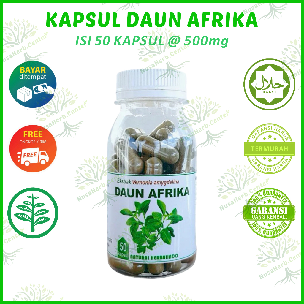 Daun afrika isi 50 kapsul herbal stroke obat stroke jamu kolesterol hipertensi kebas kesemutan mati 