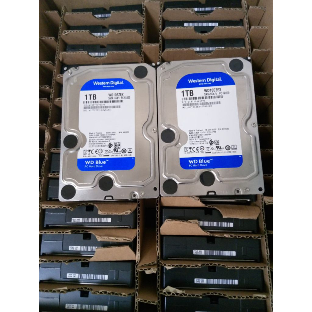HDD 1TB WD BLUE 3.5 INCHI HARDISK 1TB INTERNAL COCOK UNTUK PC KOMPUTER