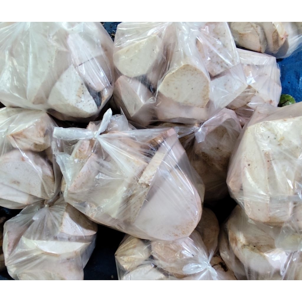 Talas Bogor Potong / Ubi Keladi