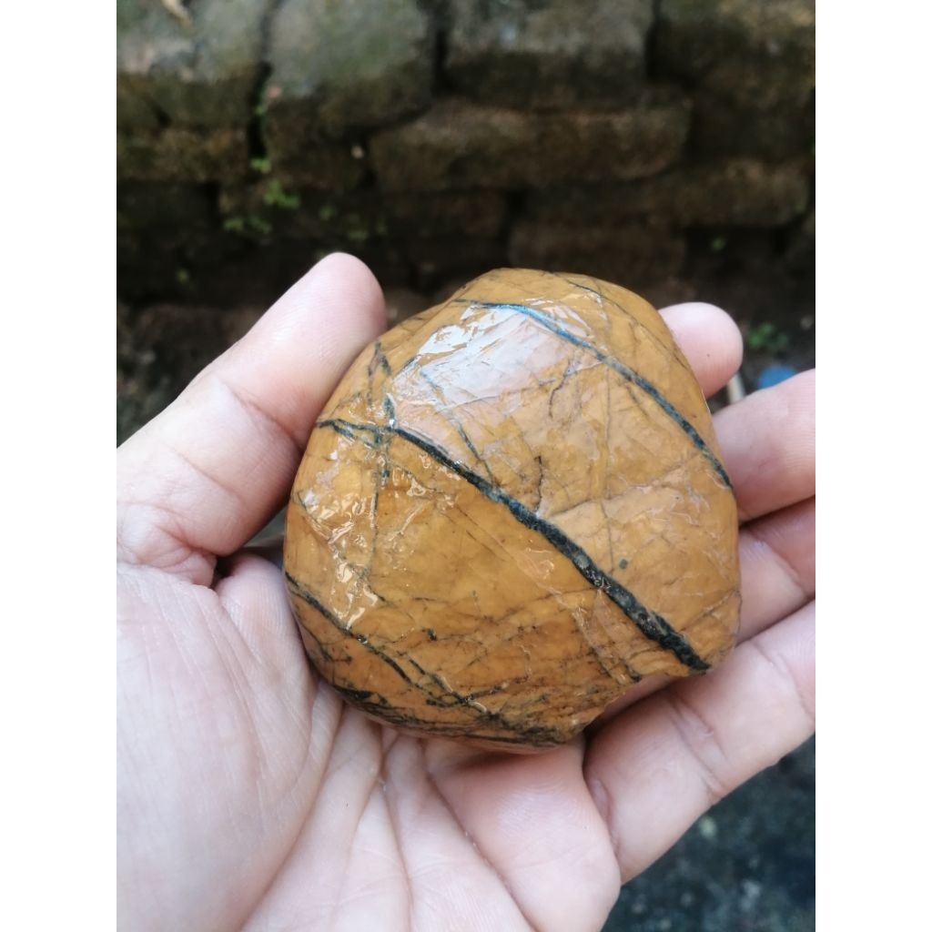 rough bahan jalasutra