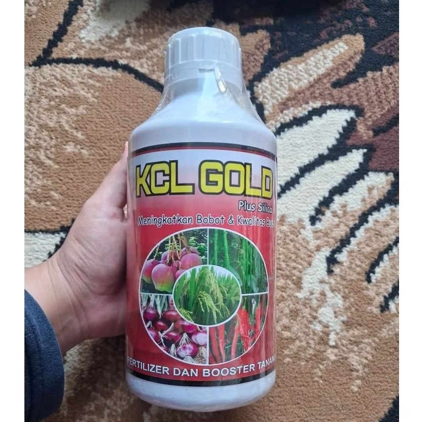 KCL Gold plus silica 1Liter Meningkatkan bobot & Kualitas buah
