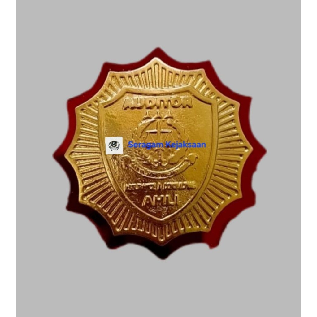 Pin Auditor Kejaksaan
