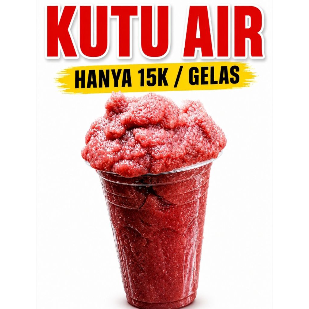 Kutu Air 1 Gelas