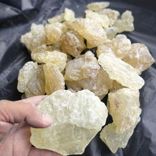 Getah Damar mata kucing shora jevanica/Mustaki/Gum Damar/Damar Kaca/Berat-100gr