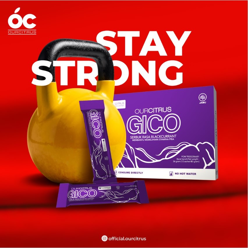 GICO Blackcurrant Drink Box Isi 12 Sachet