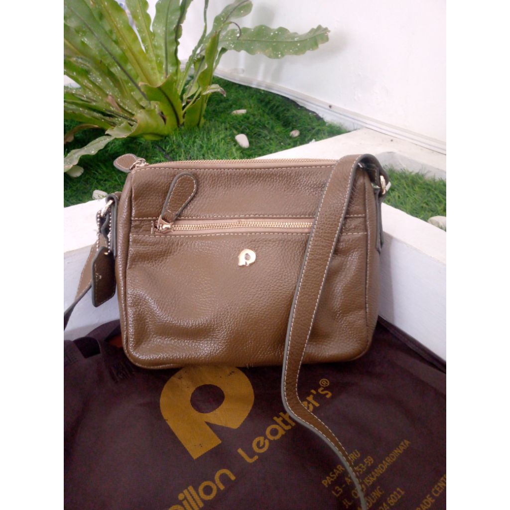 preloved papilon