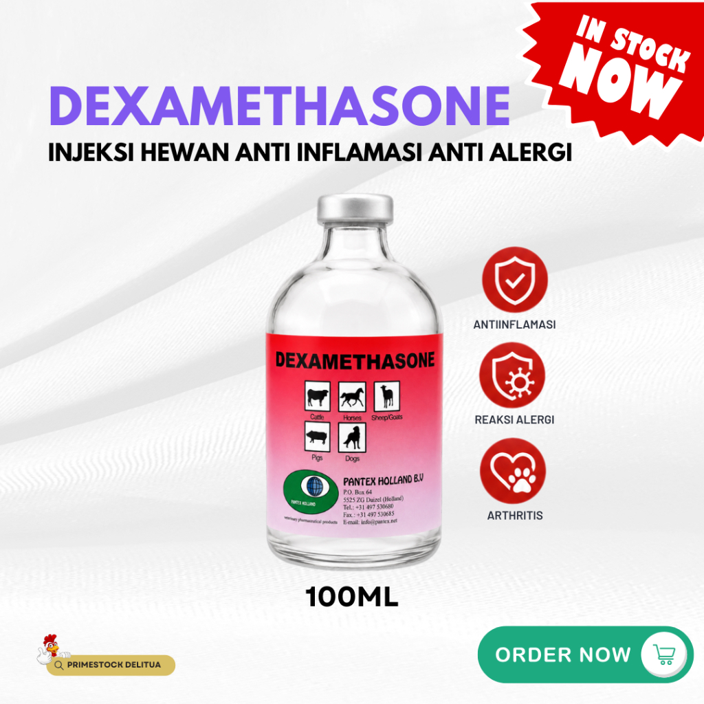 Dexamethasone Pantex Holland 100ml Injeksi Hewan Anti Inflamasi Anti Alergi Sapi Kambing Domba Babi