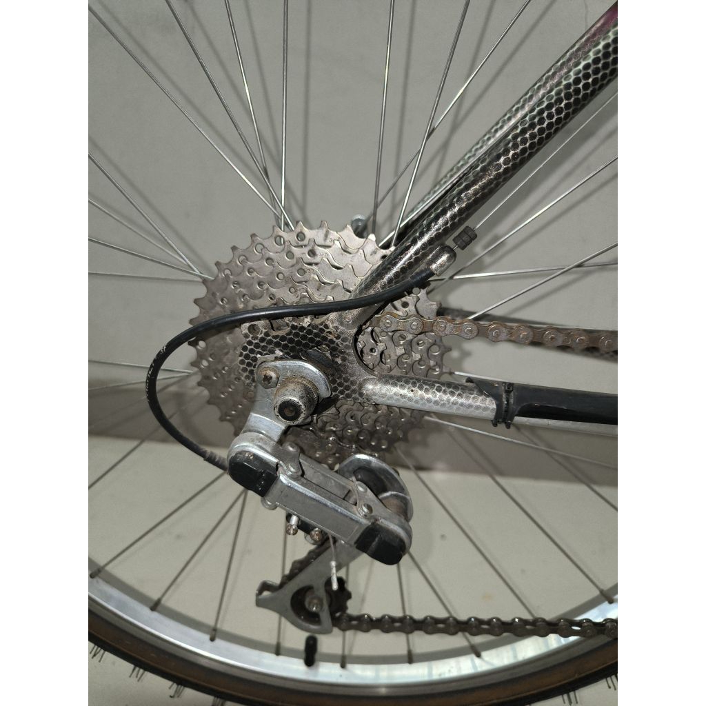 ebike Federal Torino Terrain