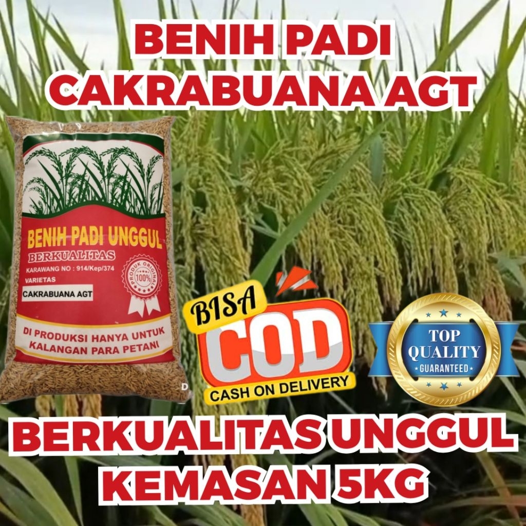 BENIH PADI CAKRABUANA AGRITAN KUALITAS UNGGUL KEMASAN 5 KG