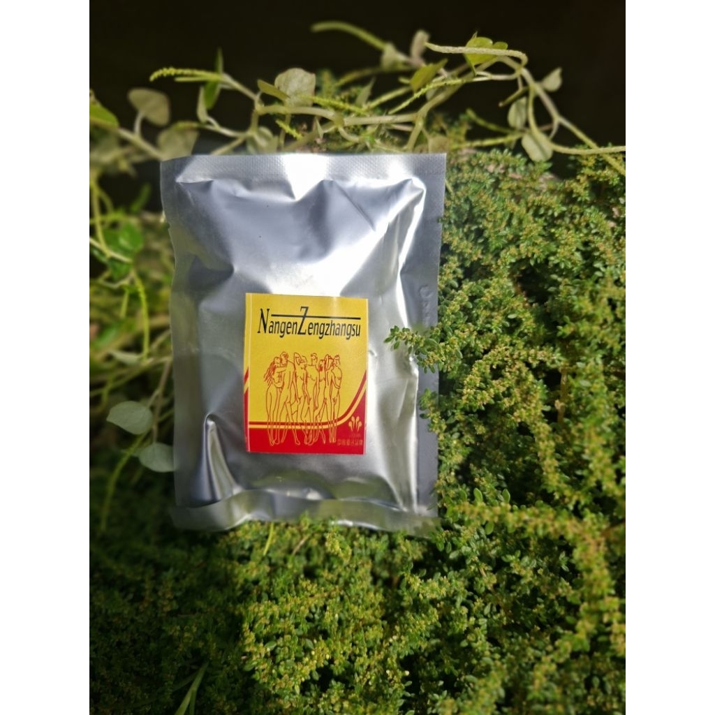 Nangen Zengzhangsu isi 1 pack 4 sachet original