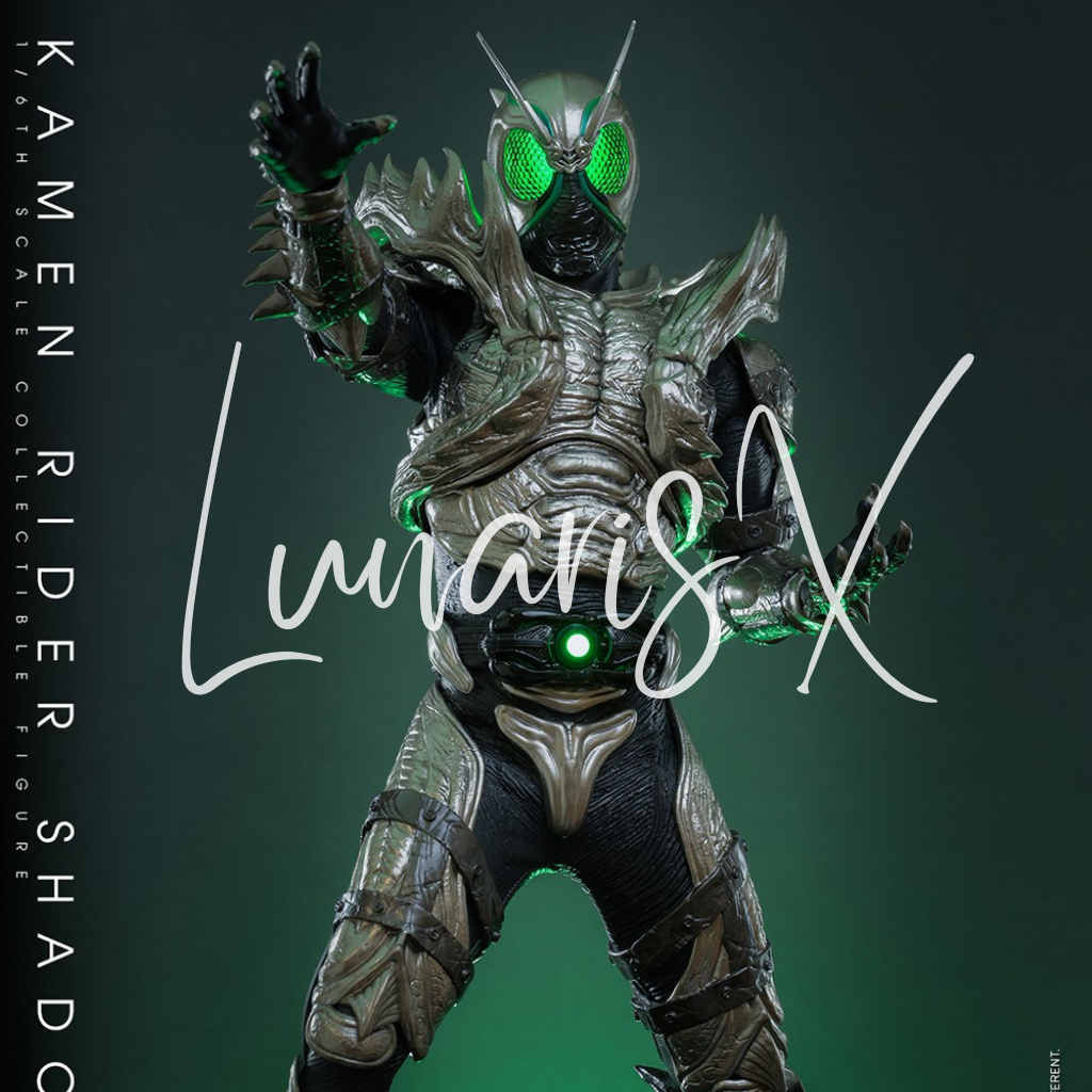 Kamen Rider Shadow Moon Hot Toys Recast Action Figure