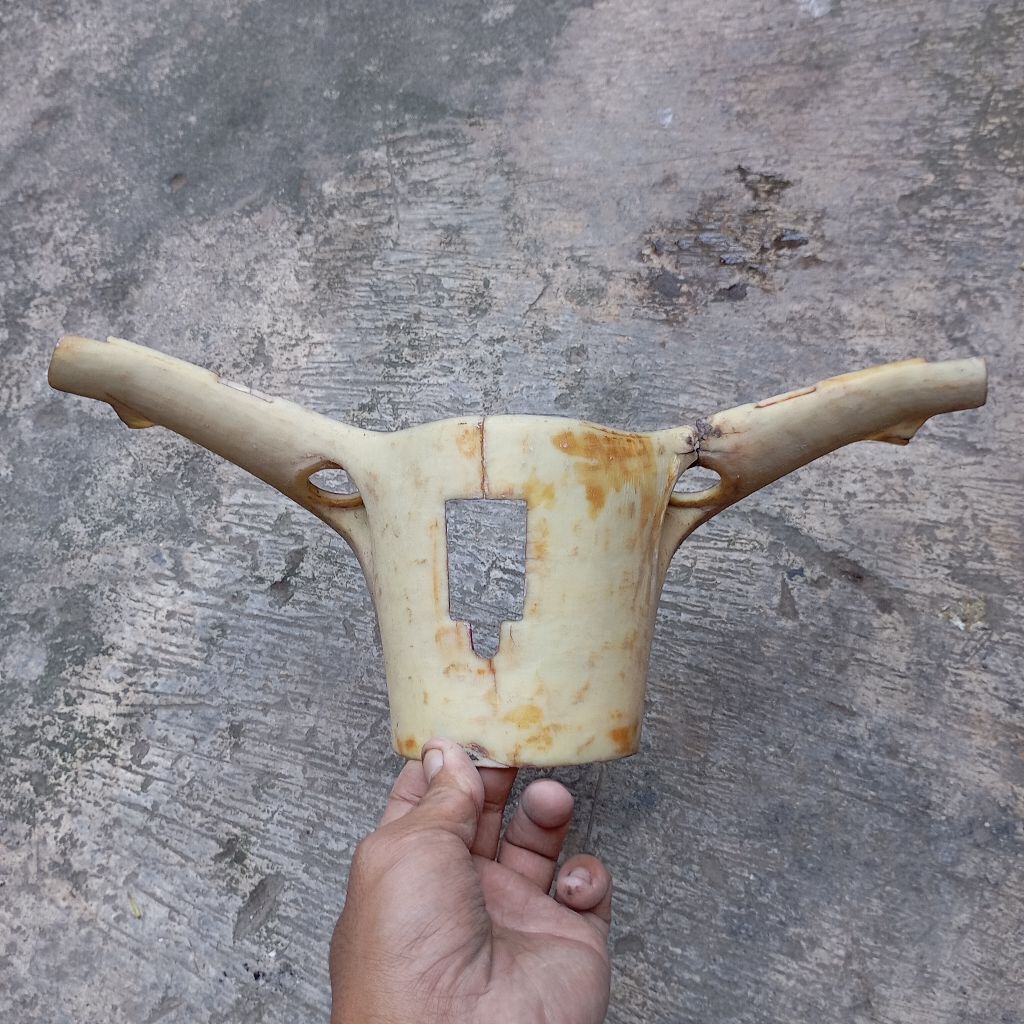 Batok bawah C70 MK3 ori copotan tepong bawah C70 MK3 ori copotan C70