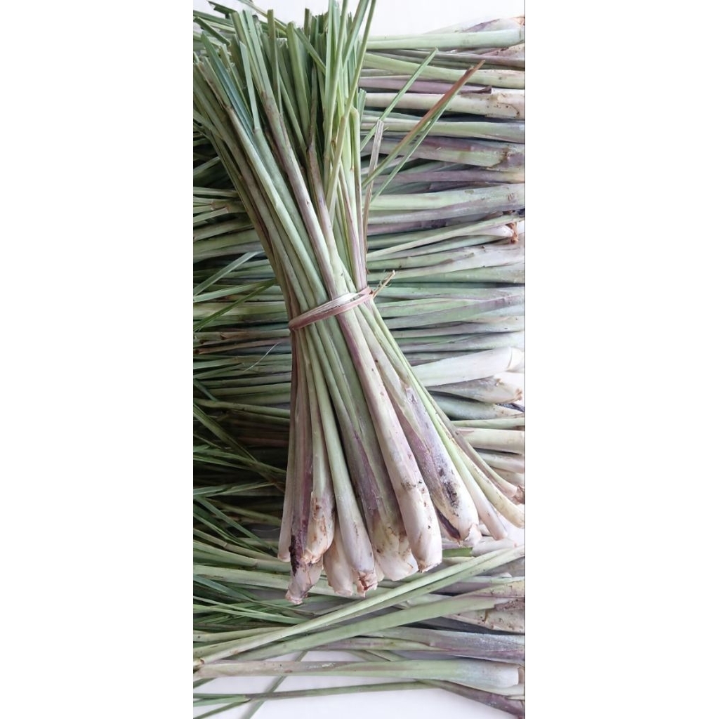 serai 1kg | bumbu dapur