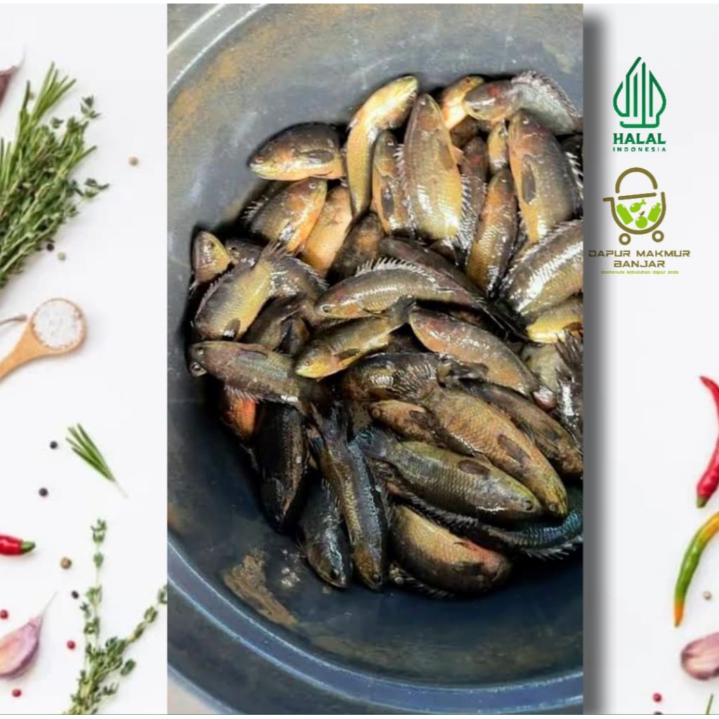 IKAN PAPUYU / IKAN BETOK 500gram