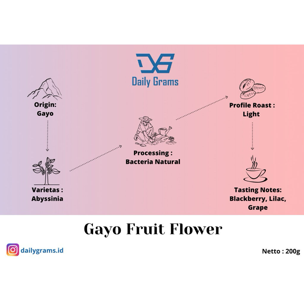 Gayo Abyssinia Natural Bacteria 200g