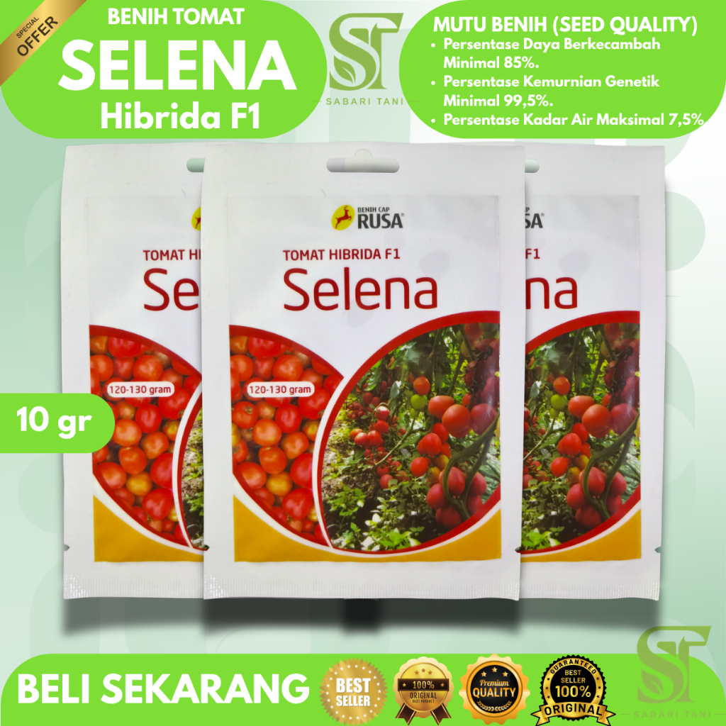 BENIH TOMAT SELENA F1 10 GRAM Benih Cap Rusa Tomat Hibrida Indeterminate