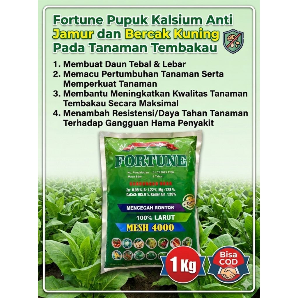 Kalsium Fortune Pupuk Anti Layu Mencegah Jamur dan Bercak Kuning Pada Tanaman Tembakau Kemasan 1 Kg 