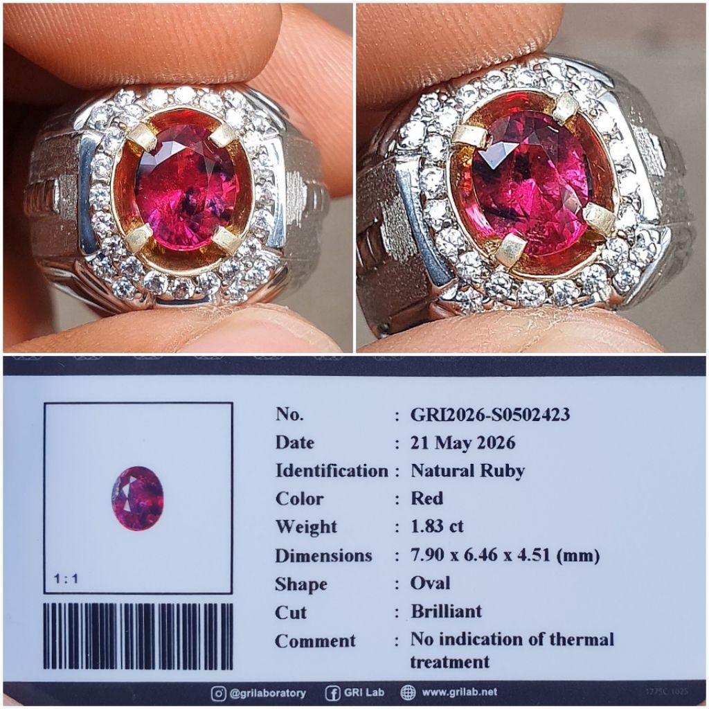 natural Red Ruby 1.83ct Noheated/Unheated memo GRI cincin perak