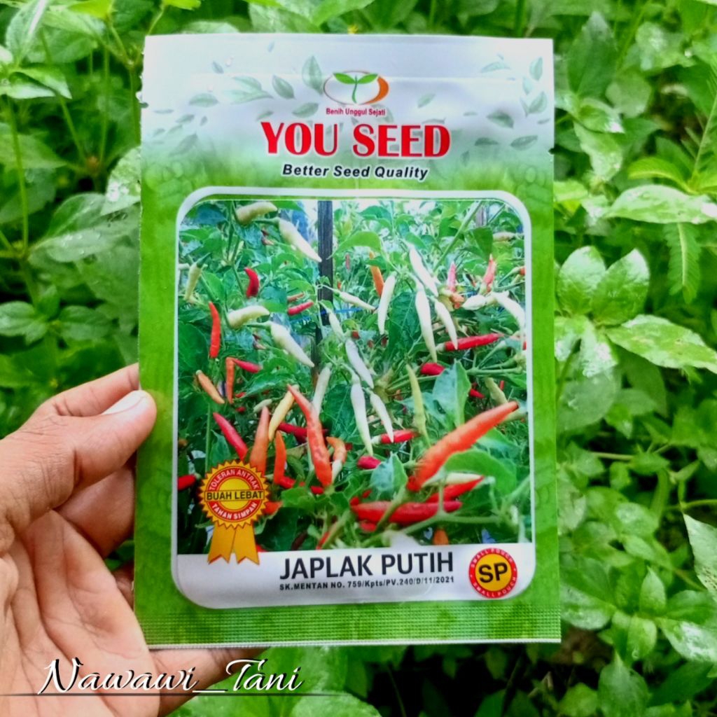 500 BENIH CABE RAWIT JAPLAK PUTIH ORIGINAL