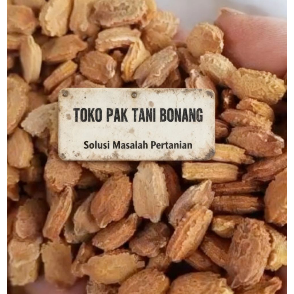 Benih Sayur Pare Pahit | Benih Pare Ayam | Bibit Sayur Pare Pahit