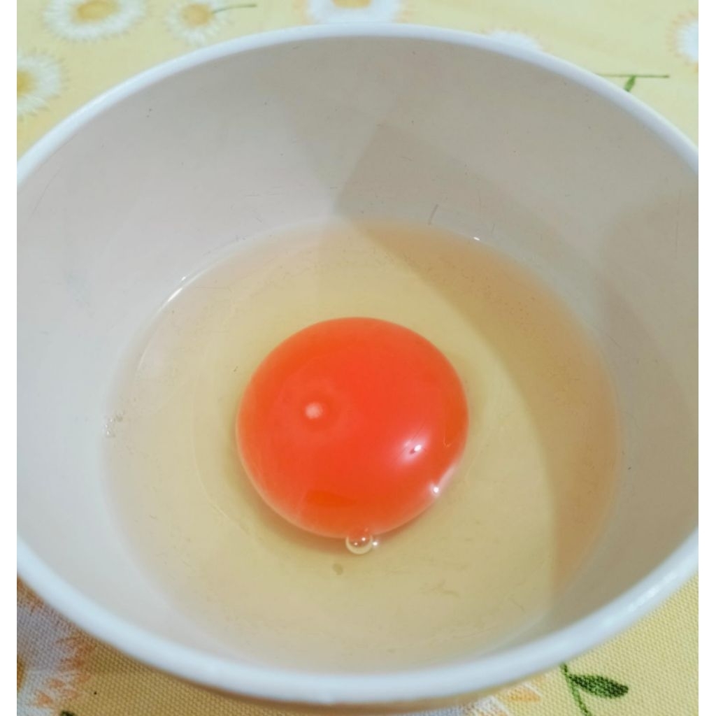 Telur omega 3,6,9