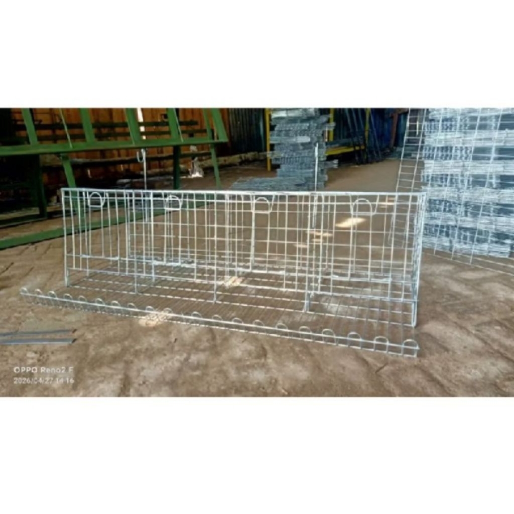 kandang ayam petelur galvanis pintu 4 kandang ayam petelur murah