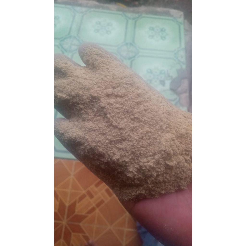 Bekatul