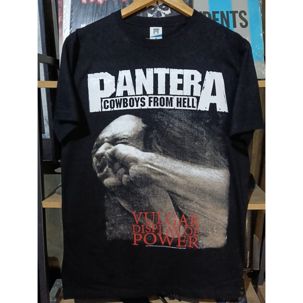 Kaos band pantera