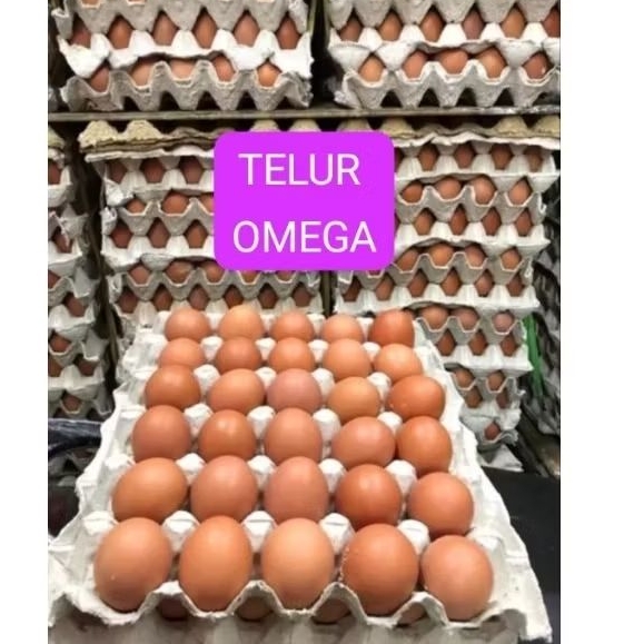 (GRESIK KEBOMAS) TELUR OMEGA, LANGSUNG KIRIM