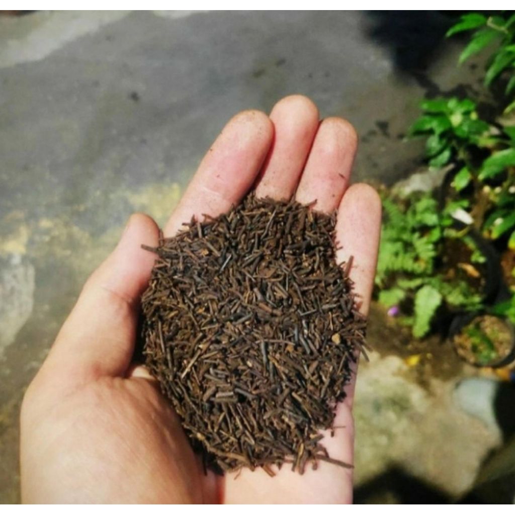 Akar Pakis Cacah Oven Premium