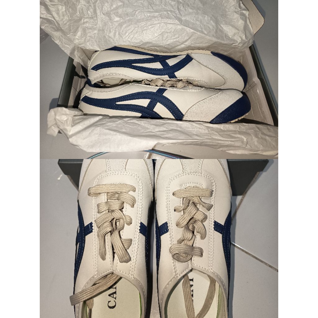 sepatu cani