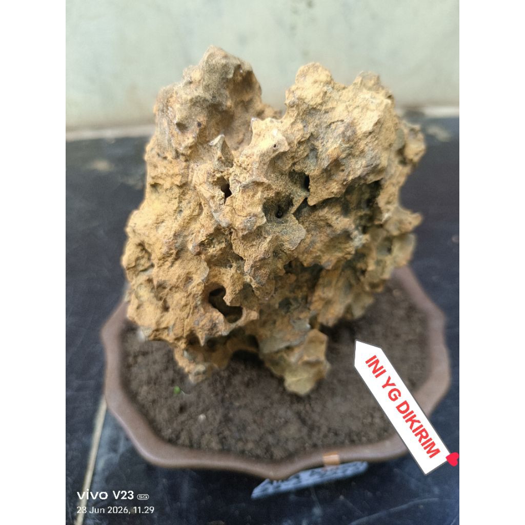 batu untuk bonsai penjing