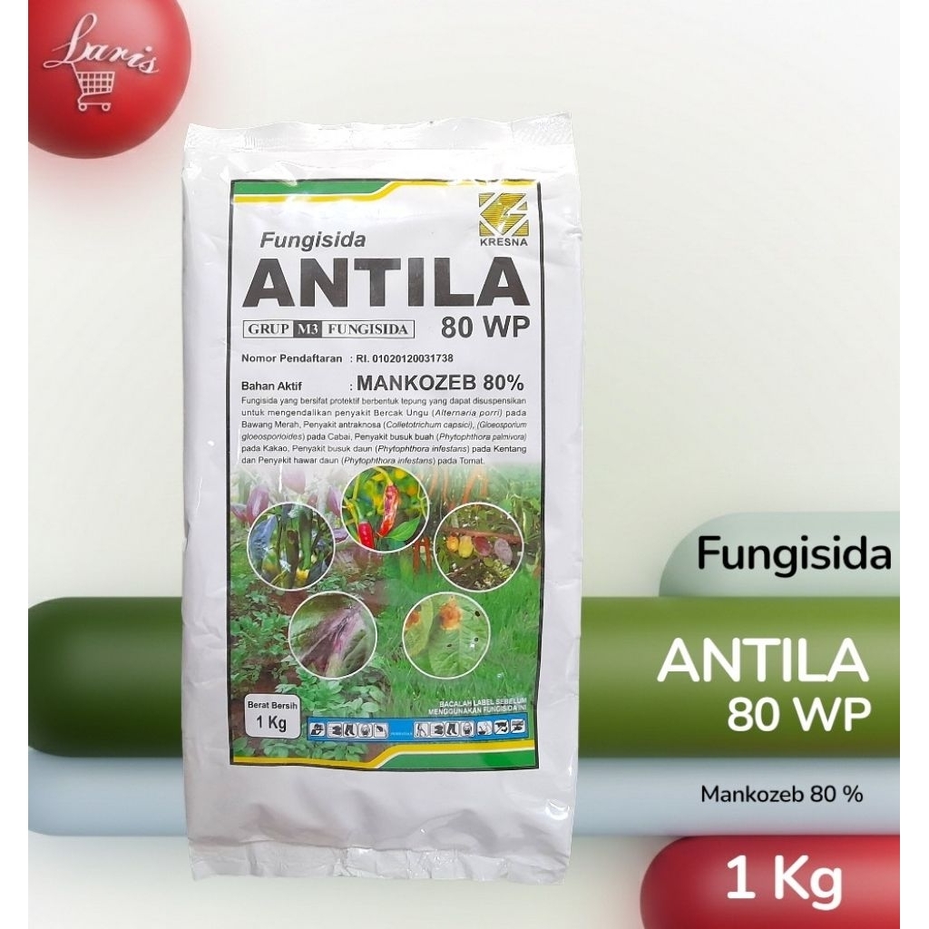 ANTILA 80 WP - 1 KG