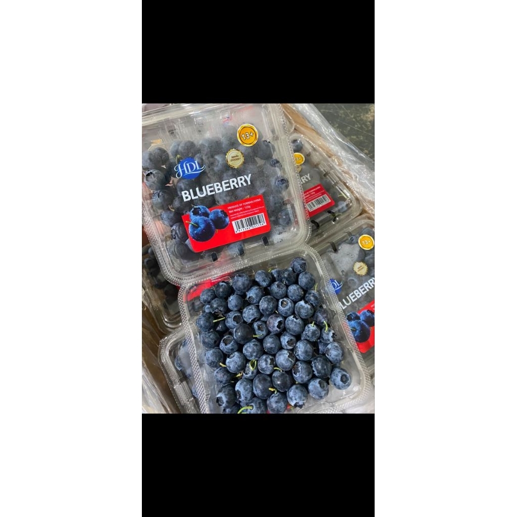 BLUEBERRY.BESAR. ENAK DAN JUMBO. BLUEBERRY ENAK SEGAR FRESH