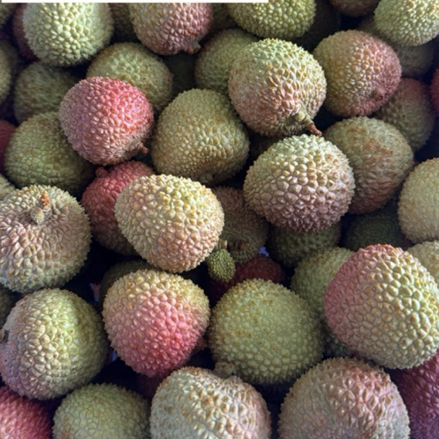 leci madu super manis lychee import premium