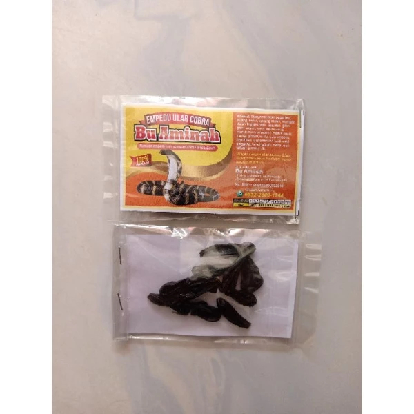 Empedu Ular Cobra Asli Ibu Aminah Empedu Kering