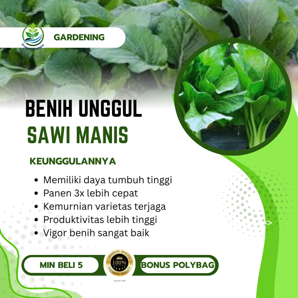 ±50 Bibit Unggul Sawi Manis | Bibit Sayur Sawi Caisim Hibrida - Benih Sayuran