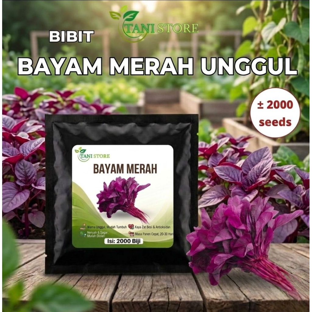 Bibit Benih Bayam Merah ±2000 biji_Bayam merah