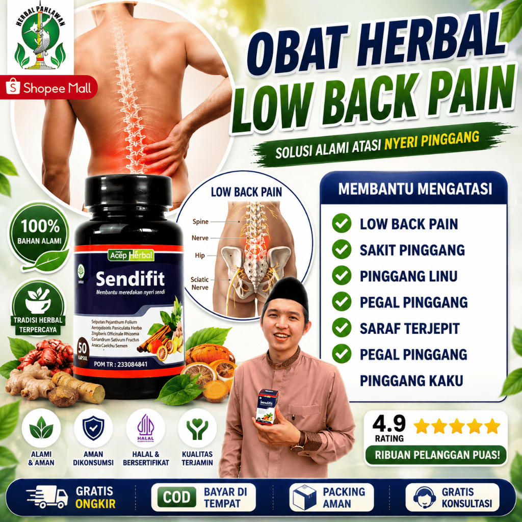 Obat Herbal Low Back Pain (LBP), Sakit Pinggang, Punggung, Pegal Linu, Saraf Terjepit - SendiFit Asl