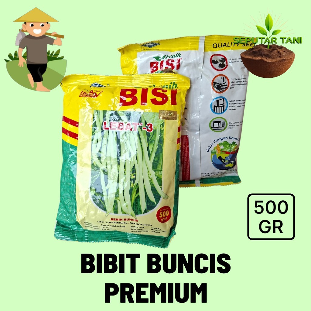 Benih Buncis LEBAT 3 500Gram - Bibit Buncis Lebat 3 Cap Kapal Terbang